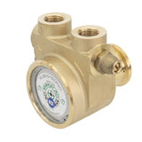 Pure Water Power Rotary Vane Pump – view 2