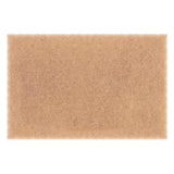 Pure Water Power Walnut Scrub Pad - 10 Pack – main view