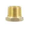 Pure Water Power 209-24-133 Hex Plug Fitting – 1/2 Npt, Brass Body