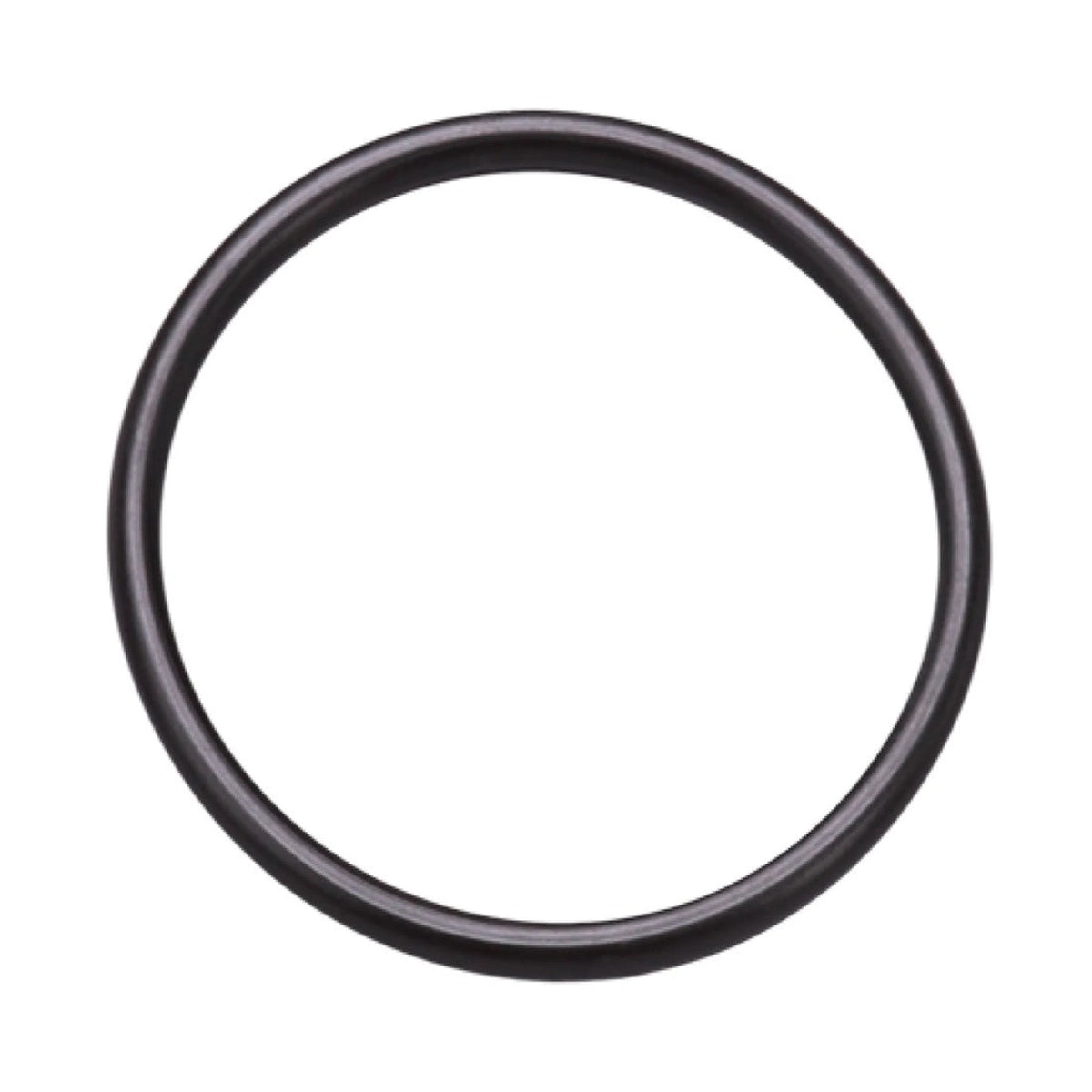 Pure Water Power 005-24-27 O-Ring for DI Housing – 6" x 6", .12" High