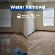 XPOWER XD-130Li Low Grain Refrigerant LGR Dehumidifier with Bluetooth & Automatic Pump - US Cleaning Tools