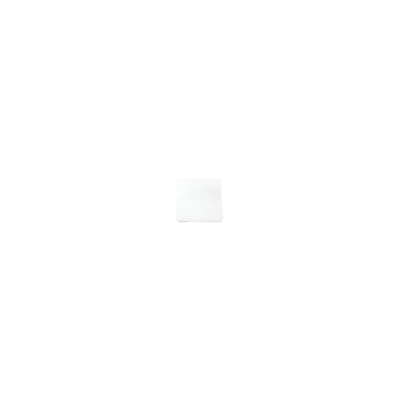 AllerAir A6FSH1245 Super HEPA Filter – 99.99% at 0.1 Micron – Fits AirMedic Pro 6 Plus