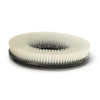 Prolux C460S 18