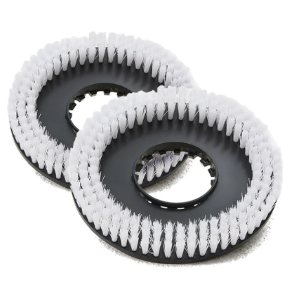 Dapper Supply Set of Brushes for DP-WPFS1204 Mini Floor Scrubber Machine