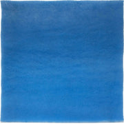 XPOWER AP-1800D DC Brushless Motor Commercial HEPA Air Filtration System - US Cleaning Tools