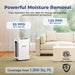 AlorAir® Sentinel Pro 55X | 318 CFM 120 PPD Commercial Dehumidifier for 1,500 Sq. Ft with Pump SLGR Tech for Home Moisture Remove