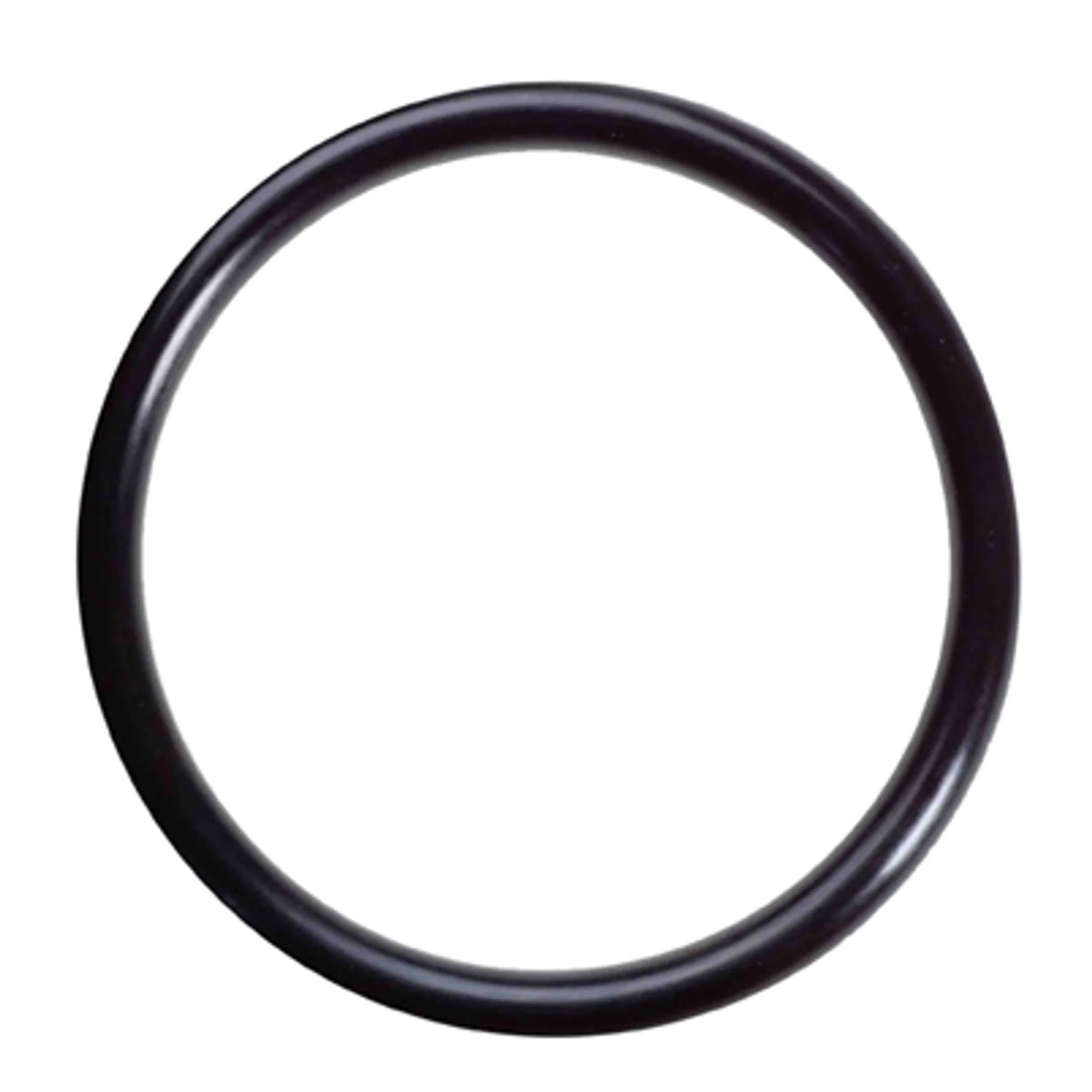 Mi-T-M 25-0595 Pump Repair Part – O-Ring 1/4" High Temp Silicon